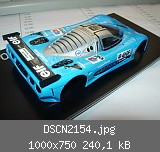 DSCN2154.jpg